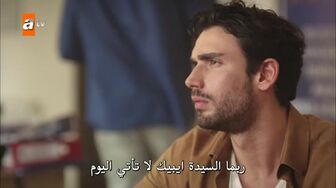 مسلسل مصيبة رأسي الحلقة 4